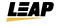 Leap Gaming Software